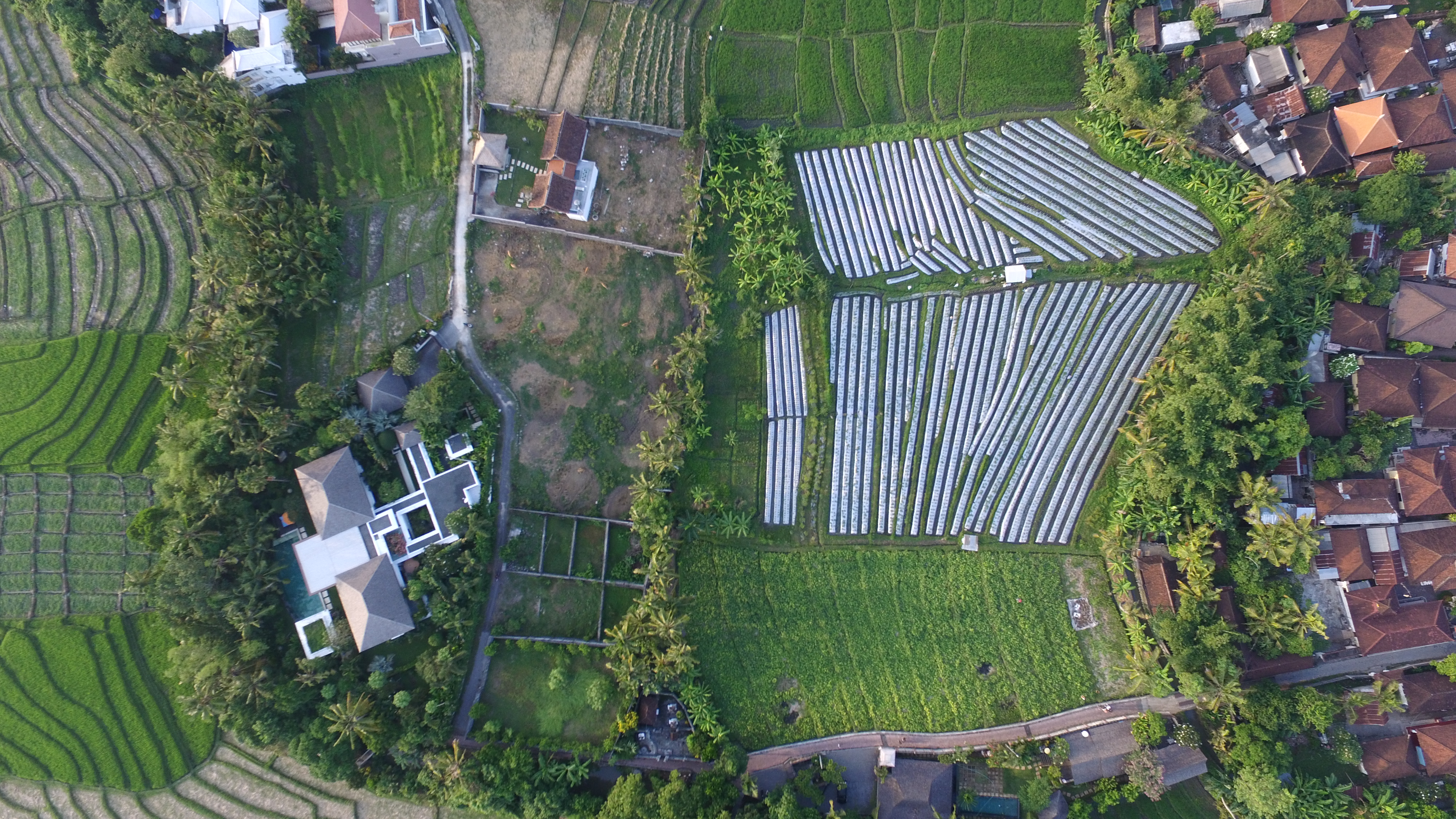 lease-hold-land-canggu-70-ara